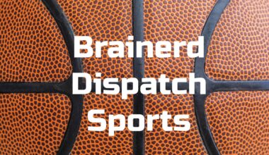 Area Boys Basketball: Gobblers win home tourney - Brainerd Dispatch