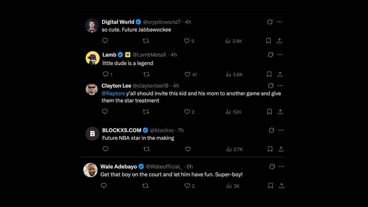 Image via NBA/X (screengrab) Young-Toronto-Raptors-fan-generates-reaction-from-fans