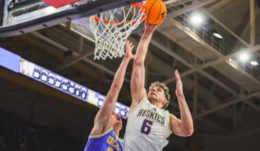 Washington big man Hannes Steinbach.