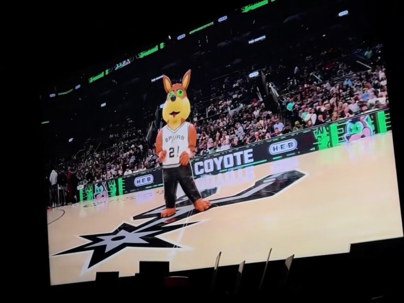 Clip of Spurs Coyote doing ‘Stanky Leg’ to San Antonio TikTok anthem goes viral