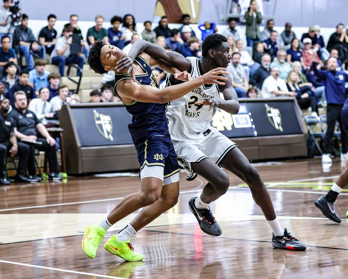 Notre Dame’s Josiah Nance, left, and St. Francis' Cherif Millogo battle for position in the paint during a recent game.