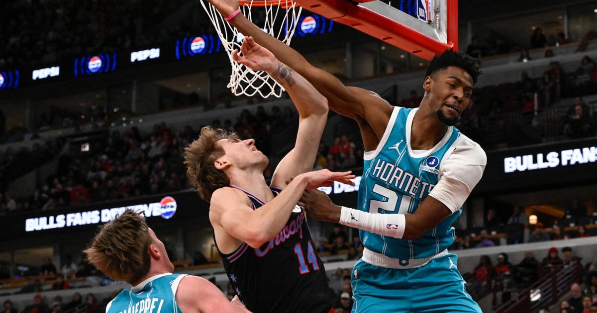 Bridges and Miller help the Hornets beat the Bulls 112-99 | National Sports