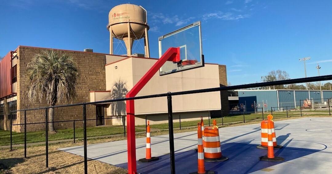 Pelicans lend a hand | News