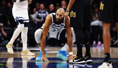 Rudy Gobert to miss one game for Minnesota Timberwovles for sixth flagrant foul