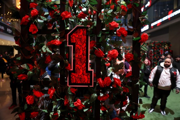 The atrium at the United Center in Chicago is seen decorated in honor of Derrick Rose prior to his #1 jersey being retired by the Chicago Bulls in a ceremony scheduled for after a game between the Bulls and the Boston Celtics on Jan. 24, 2026. (Chris Sweda/Chicago Tribune)