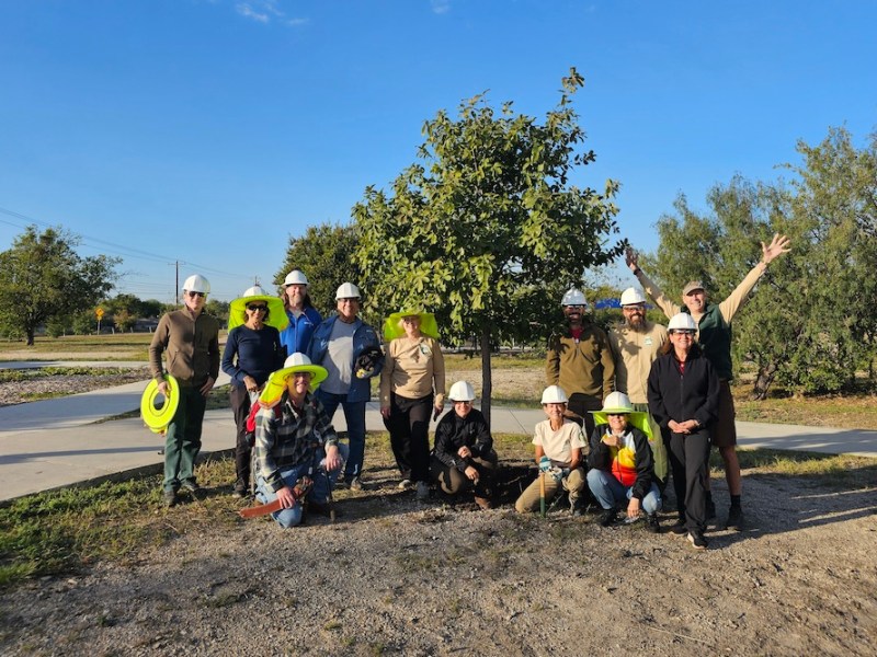 Free event this Sunday to show San Antonio residents how to be urban foresters