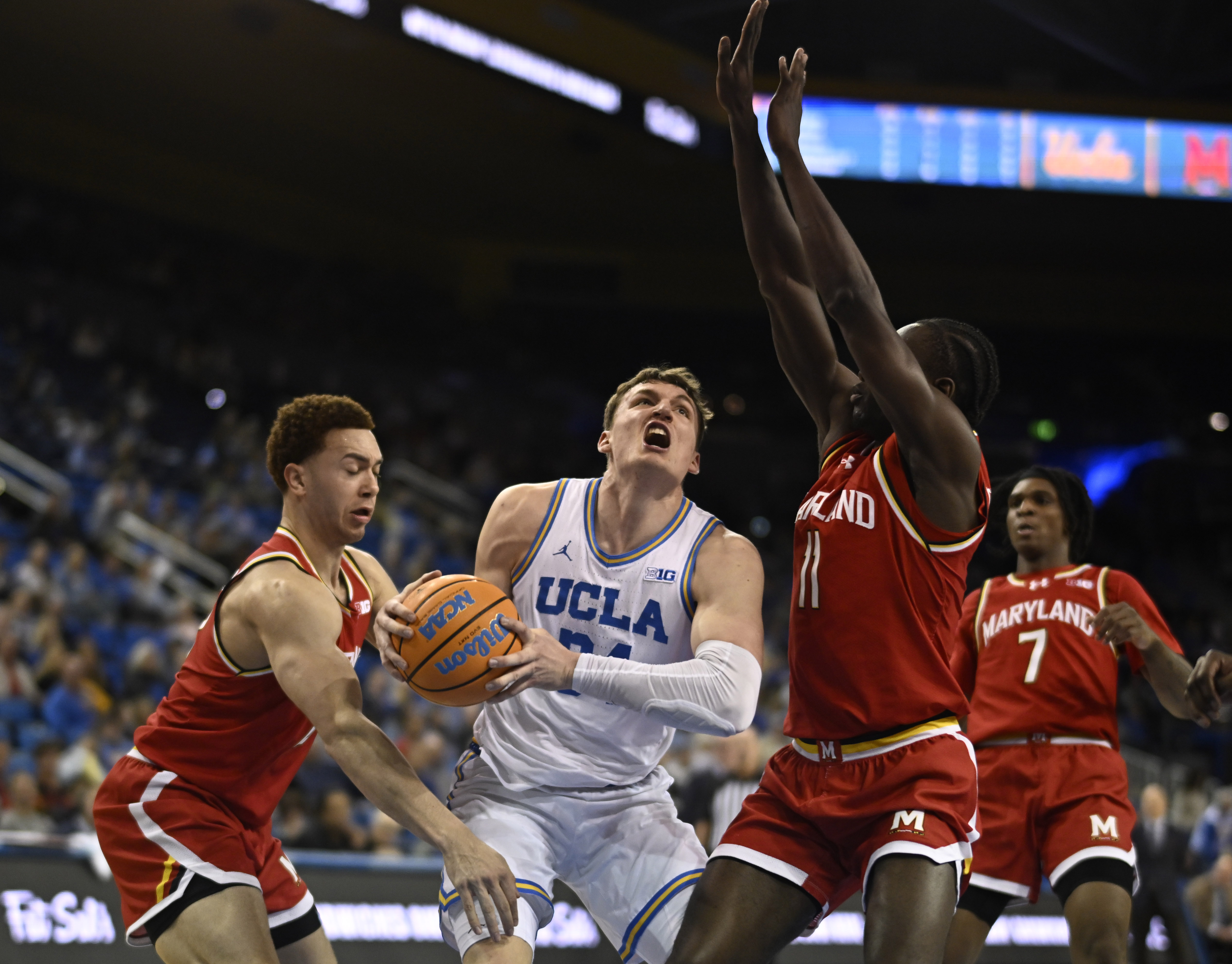Forward Tyler Bilodeau #34 of the UCLA Bruins drives to...