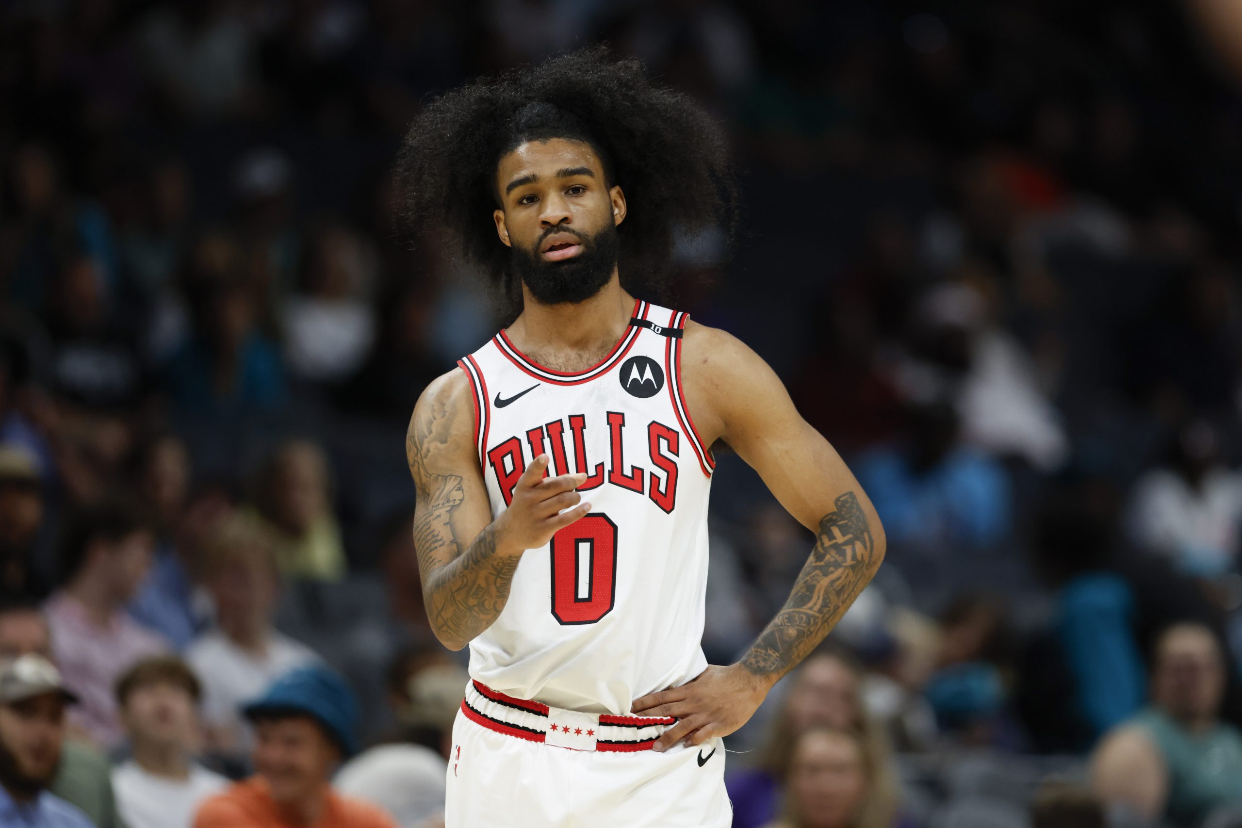 Chicago Bulls Coby White