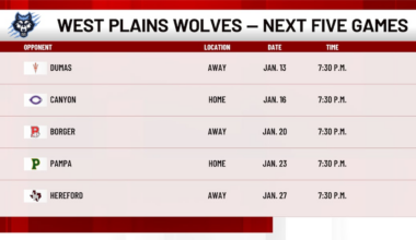 West Plains Wolves remain undefeated in District 4-4A basketball