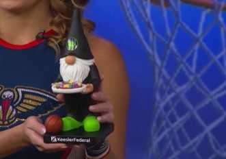 Pelicans-themed garden gnome pelicans carnival party