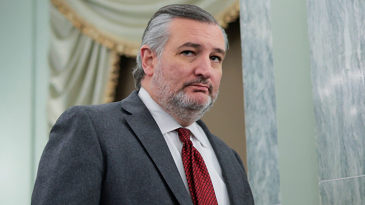 Ted Cruz at a committee hearing