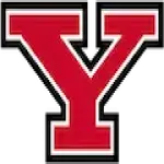 Youngstown St Penguins Logo