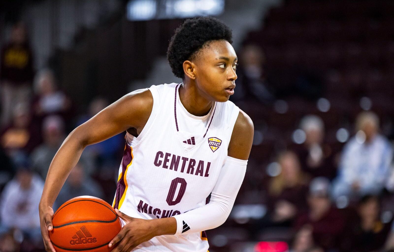 Western Michigan University Logo