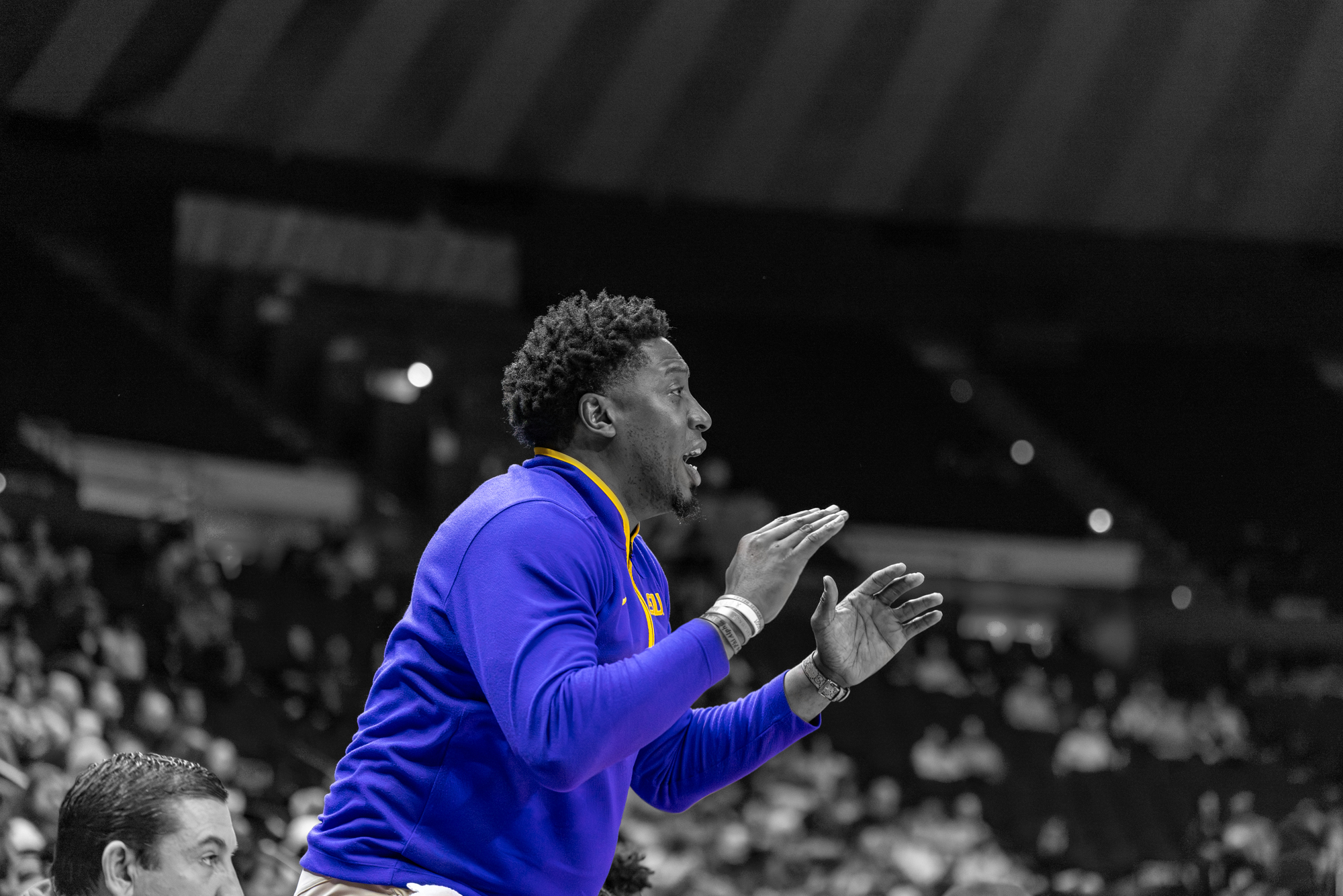 PHOTOS: LSU basketball color isolation
