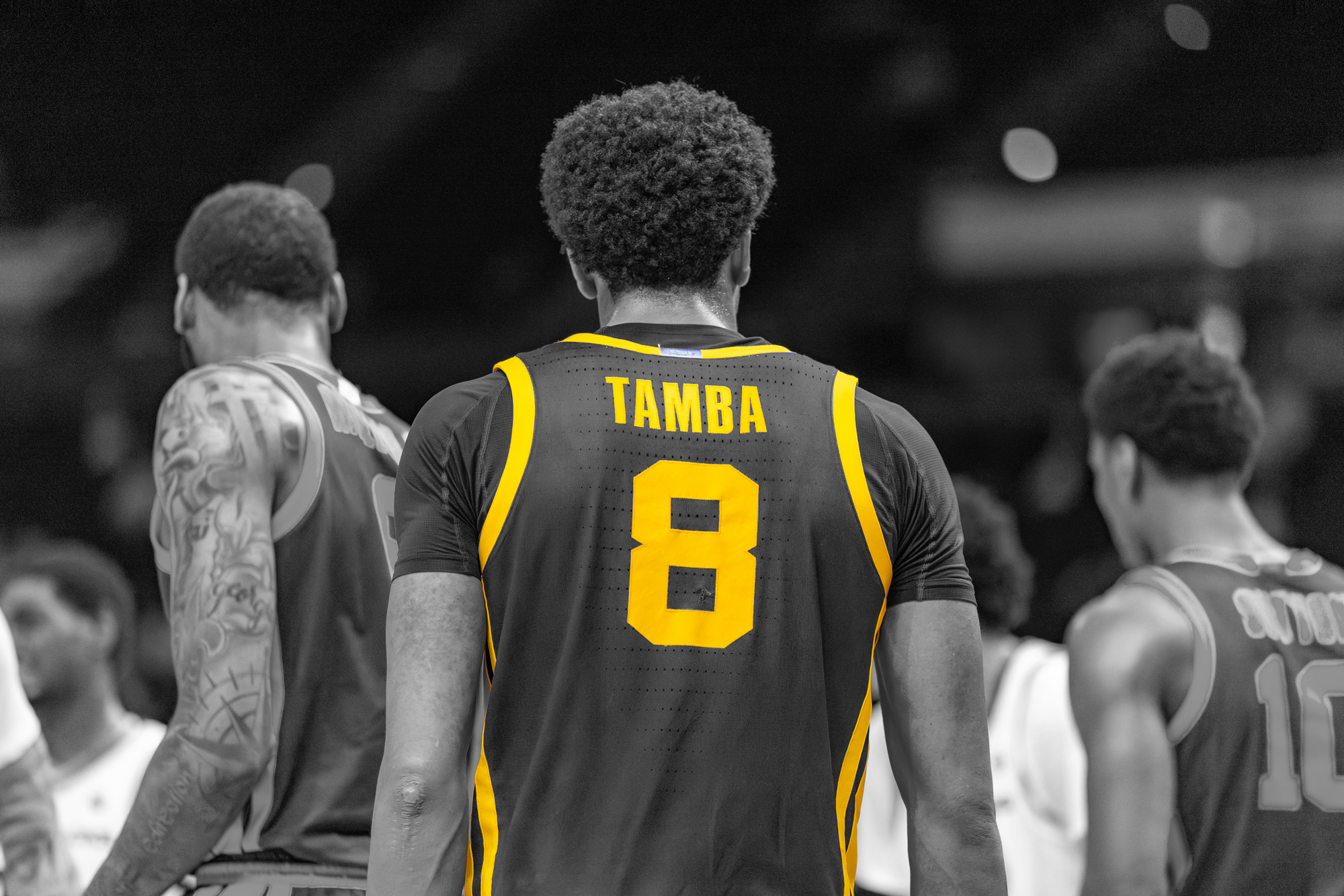 PHOTOS: LSU basketball color isolation