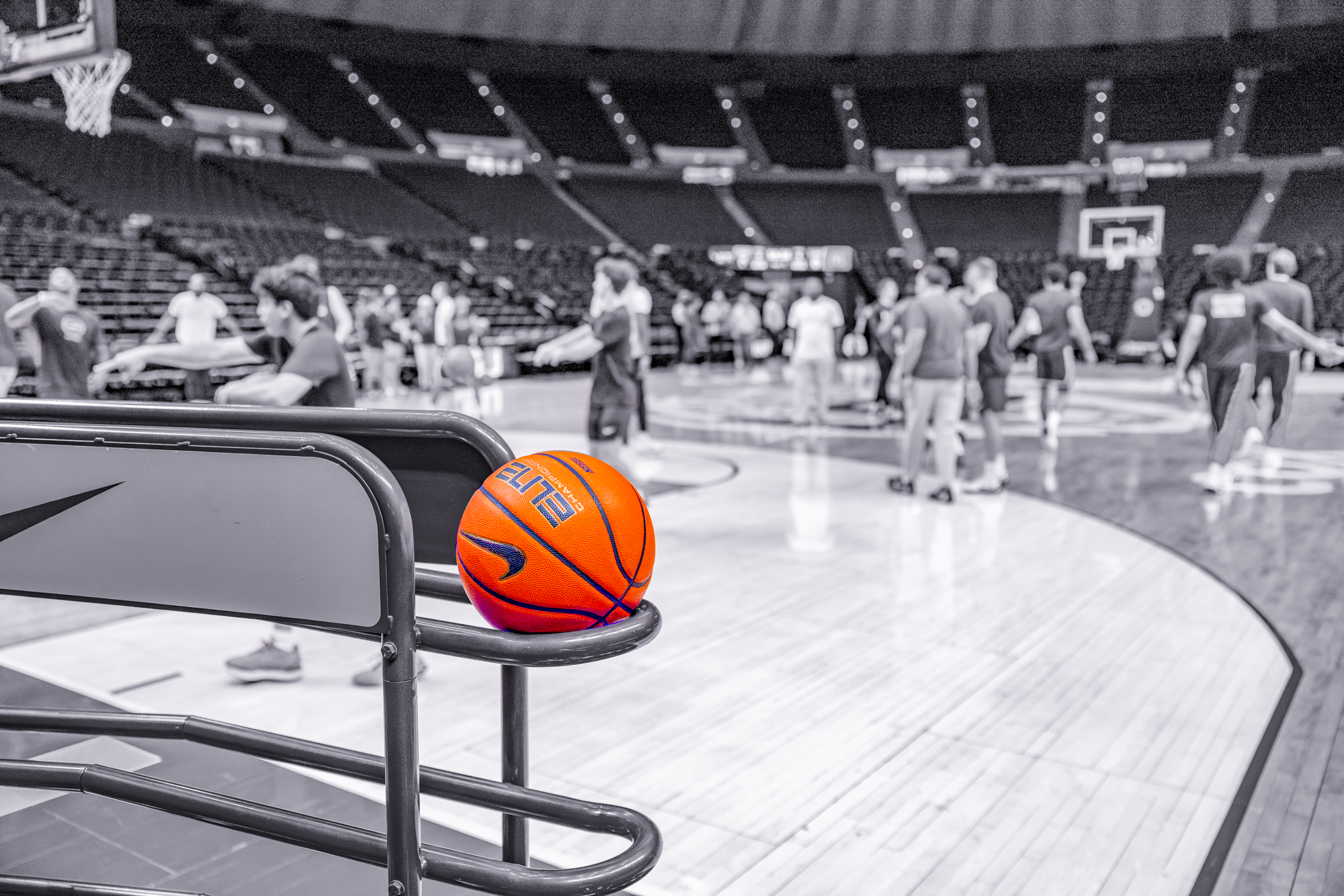 PHOTOS: LSU basketball color isolation