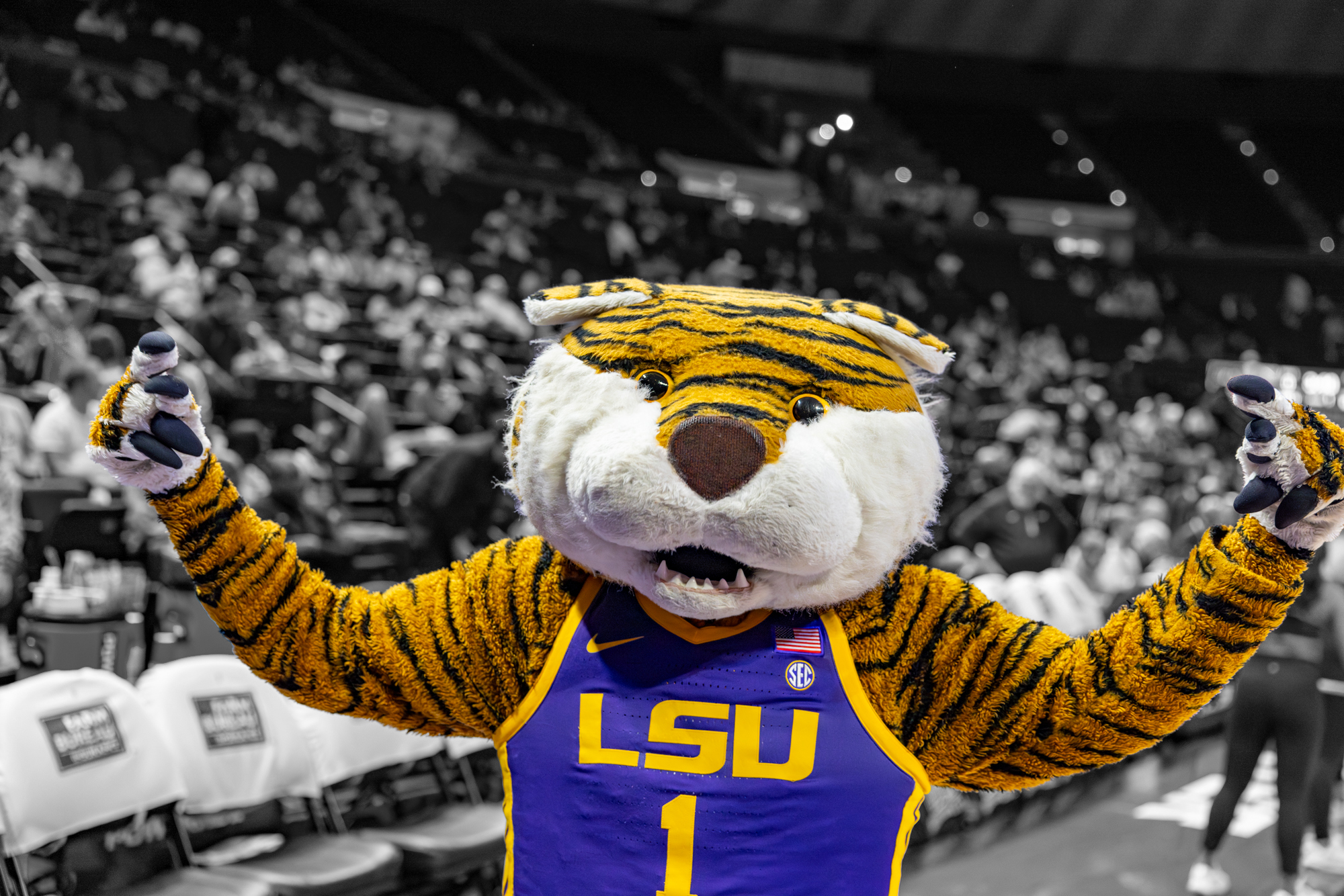 PHOTOS: LSU basketball color isolation