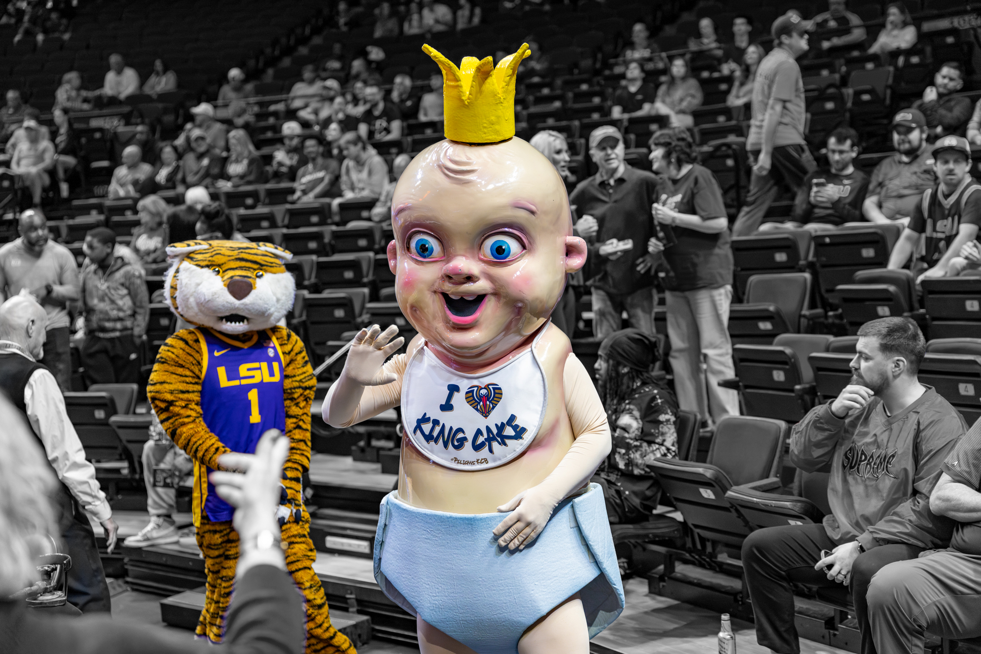 PHOTOS: LSU basketball color isolation