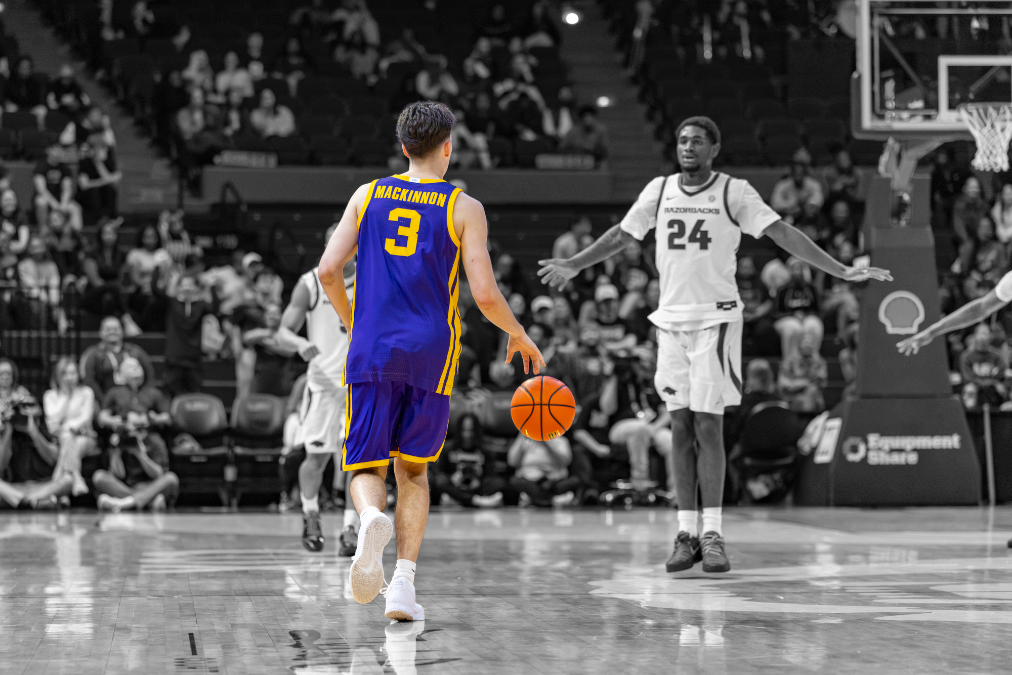 PHOTOS: LSU basketball color isolation