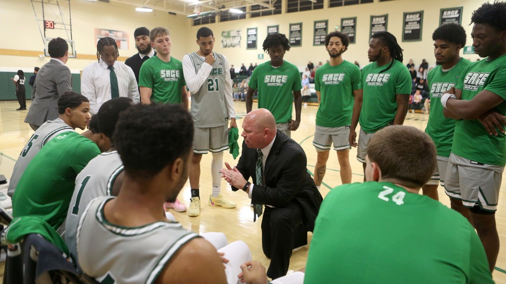Russell Sage College reaches 20-win plateau – Troy Record