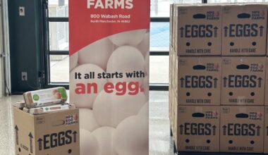 Every Pacers 3-pointer puts eggs on the table for Hoosier families – AgriNews
