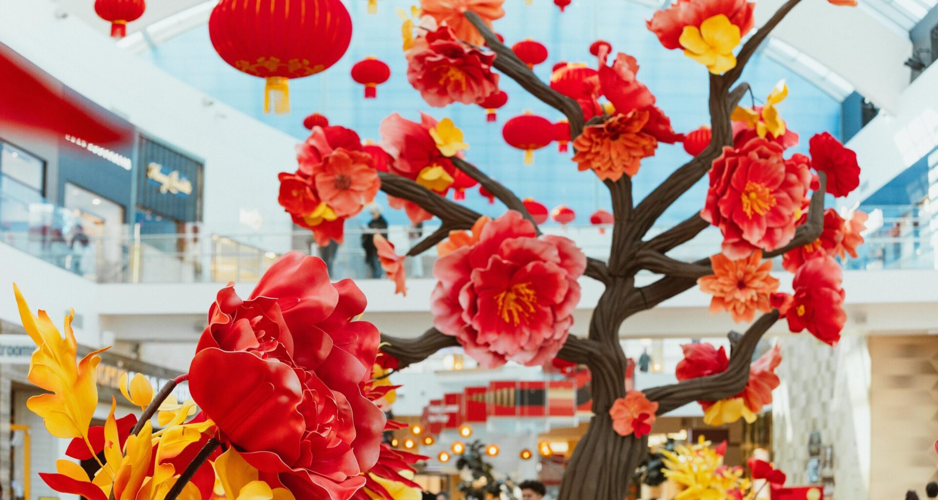 Casa Kyoto, NBA All-Star, Mardi Gras & More