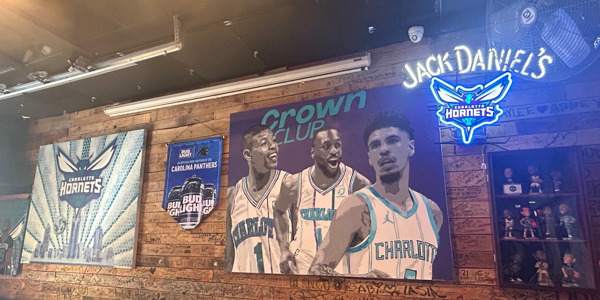 Hornets fans excited for future of team despite winning streak ending
