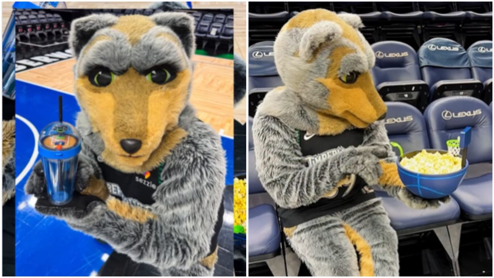 Courtside Collectibles How the NBA is Dunking on the Movie Theater Popcorn Bucket Trend