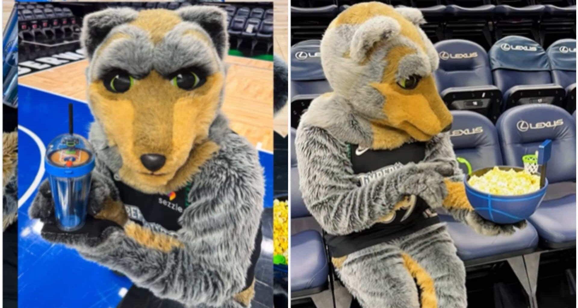 Courtside Collectibles How the NBA is Dunking on the Movie Theater Popcorn Bucket Trend