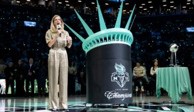 WNBA, players union on the clock for season postponement