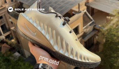 Rob Dillingham x Nike GT Cut 4 PE