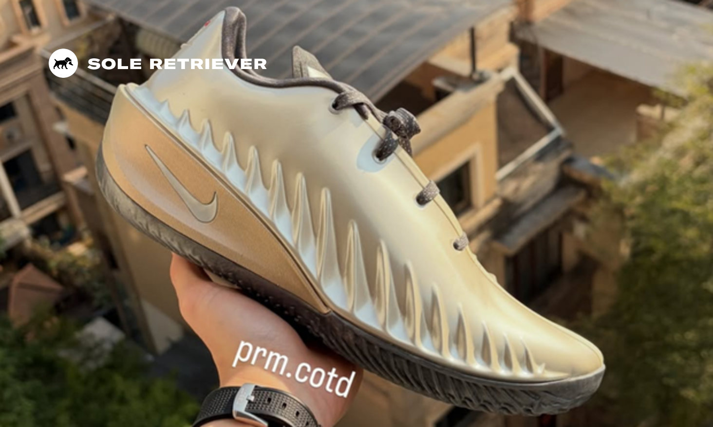 Rob Dillingham x Nike GT Cut 4 PE