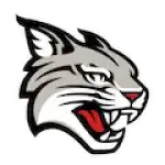 Davidson Wildcats Logo