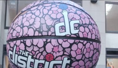 How a Washington Wizards collab led to DC artist cherry blossom exhibit – NBC4 Washington