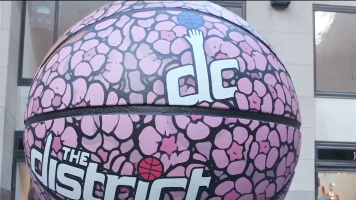 How a Washington Wizards collab led to DC artist cherry blossom exhibit – NBC4 Washington