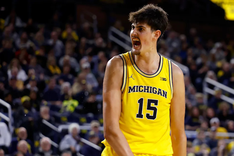 Dec 29, 2025; Ann Arbor, Michigan, USA; Michigan Wolverines center Aday Mara (15) reacts in the second half against the McNeese Cowboys at Crisler Center. Mandatory Credit: Rick Osentoski-Imagn Images