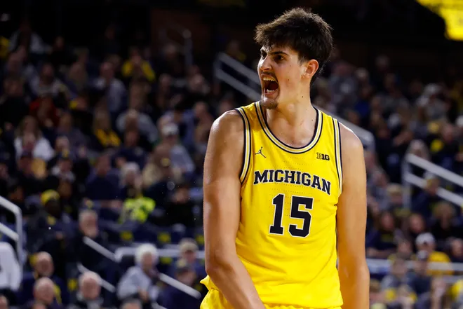 Dec 29, 2025; Ann Arbor, Michigan, USA; Michigan Wolverines center Aday Mara (15) reacts in the second half against the McNeese Cowboys at Crisler Center. Mandatory Credit: Rick Osentoski-Imagn Images