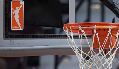 WNBA Logo Backboard Connecticut