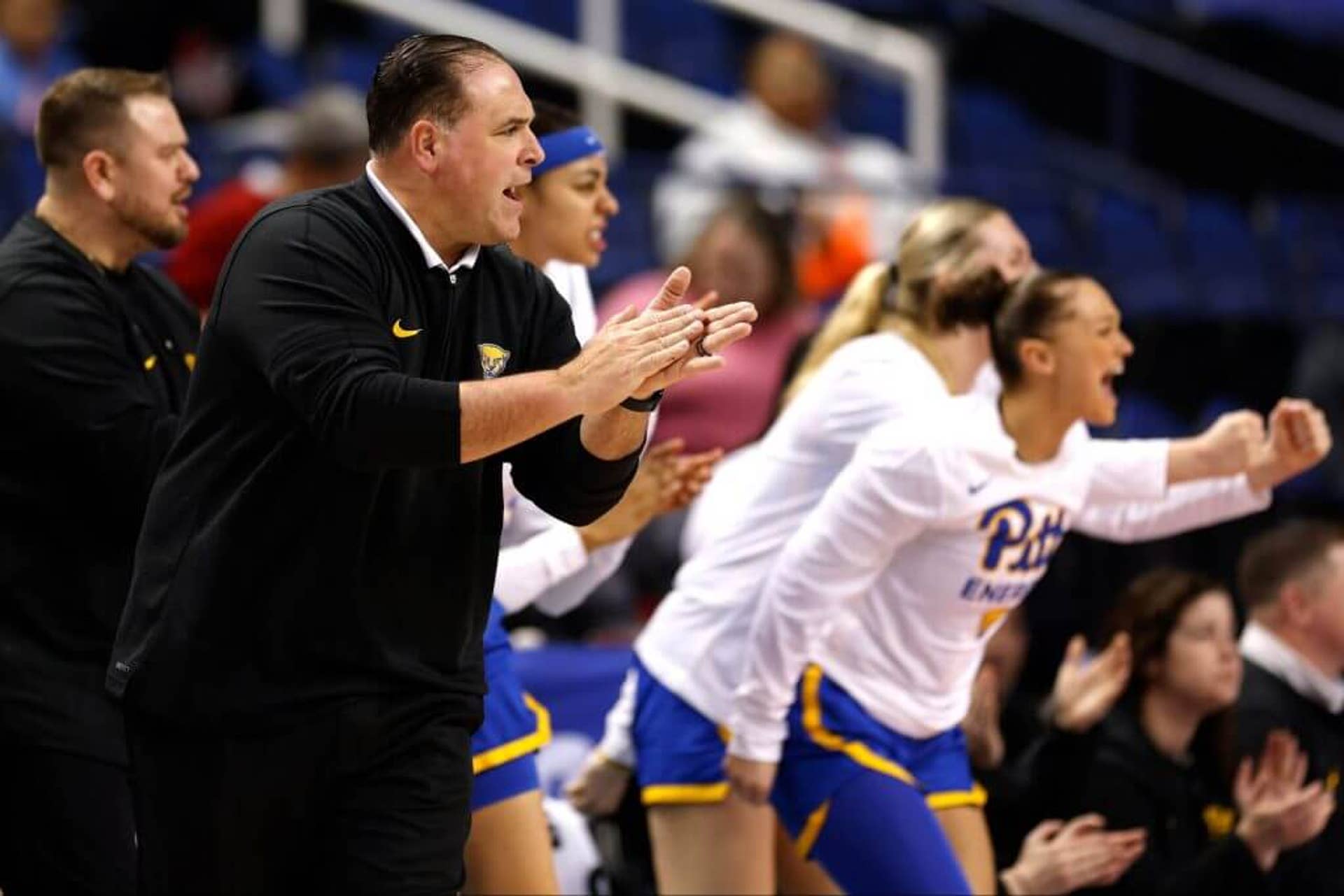 Former Pitt women's basketball coach Tory Verdi claps on the sideline while players cheer in the background during a game.