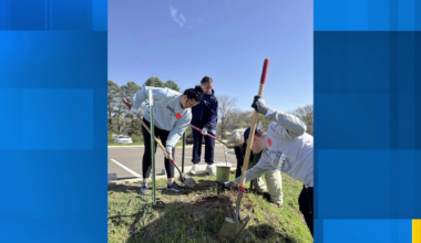 Memphis Grizzlies, Memphis Parks plant 20 oak trees at Kennedy Park
