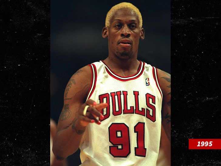 dennis rodman 91 bulls