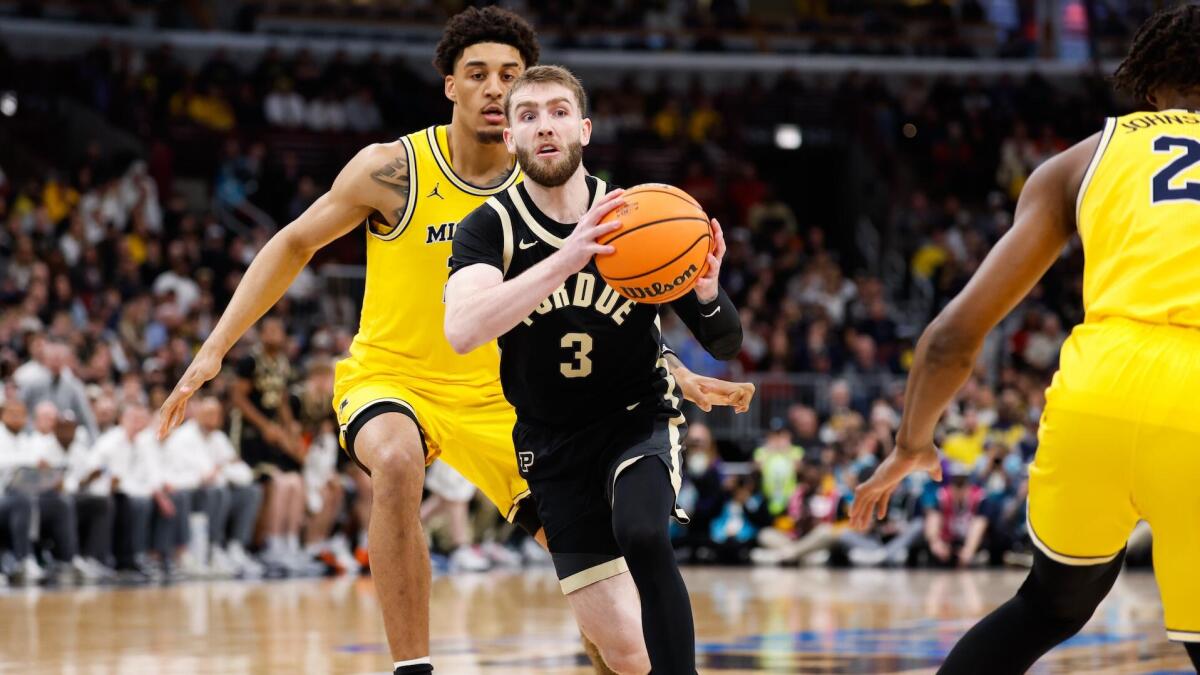 March Madness 2026 bracket: NCAA Tournament picks, predictions by top-tier college basketball model