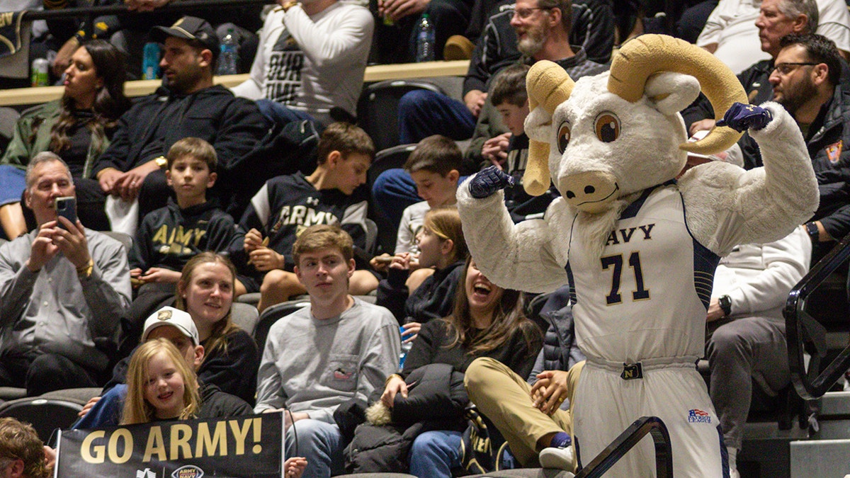The Navy mascot looks on