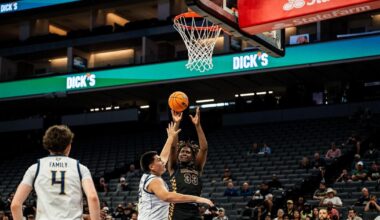 Birmingham loses in Division III state boys' basketball final