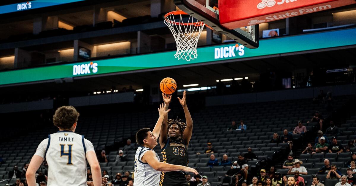Birmingham loses in Division III state boys' basketball final