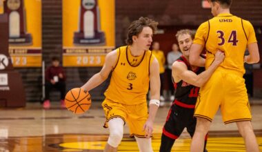 UMD men, women get in to NCAA Division II basketball tournament - Duluth News Tribune