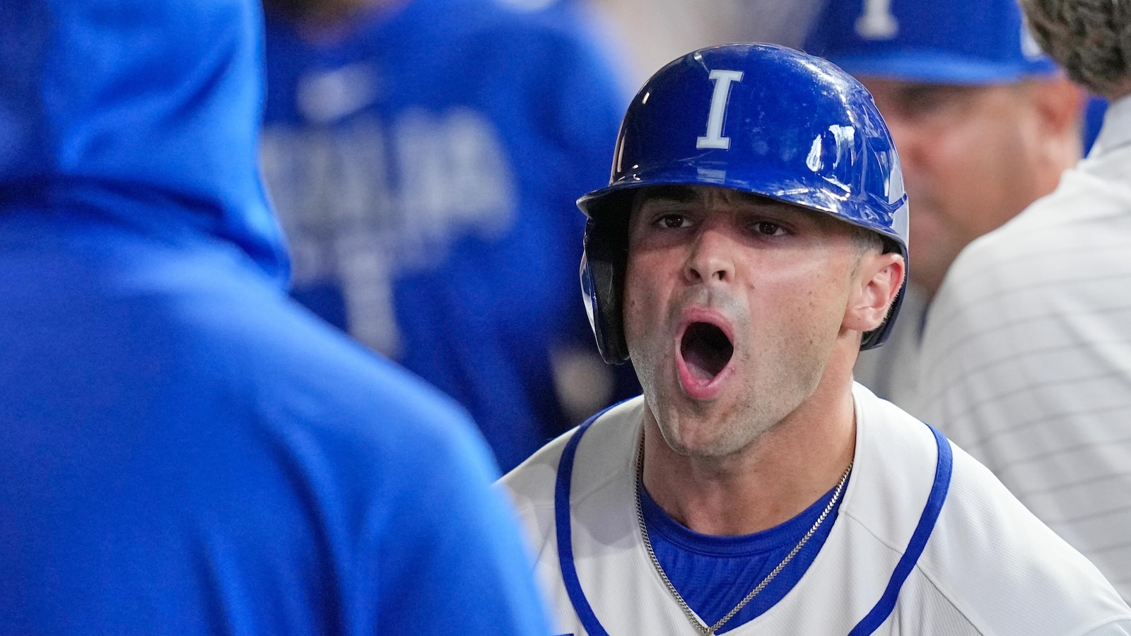 The Timberwolves are focused on a push toward the NBA playoffs. And the World Baseball Classic, too