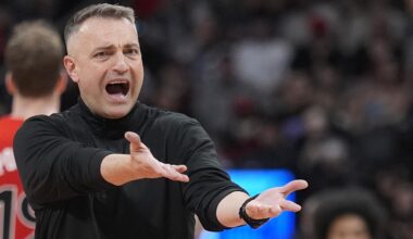 Darko Rajakovic, Toronto Raptors