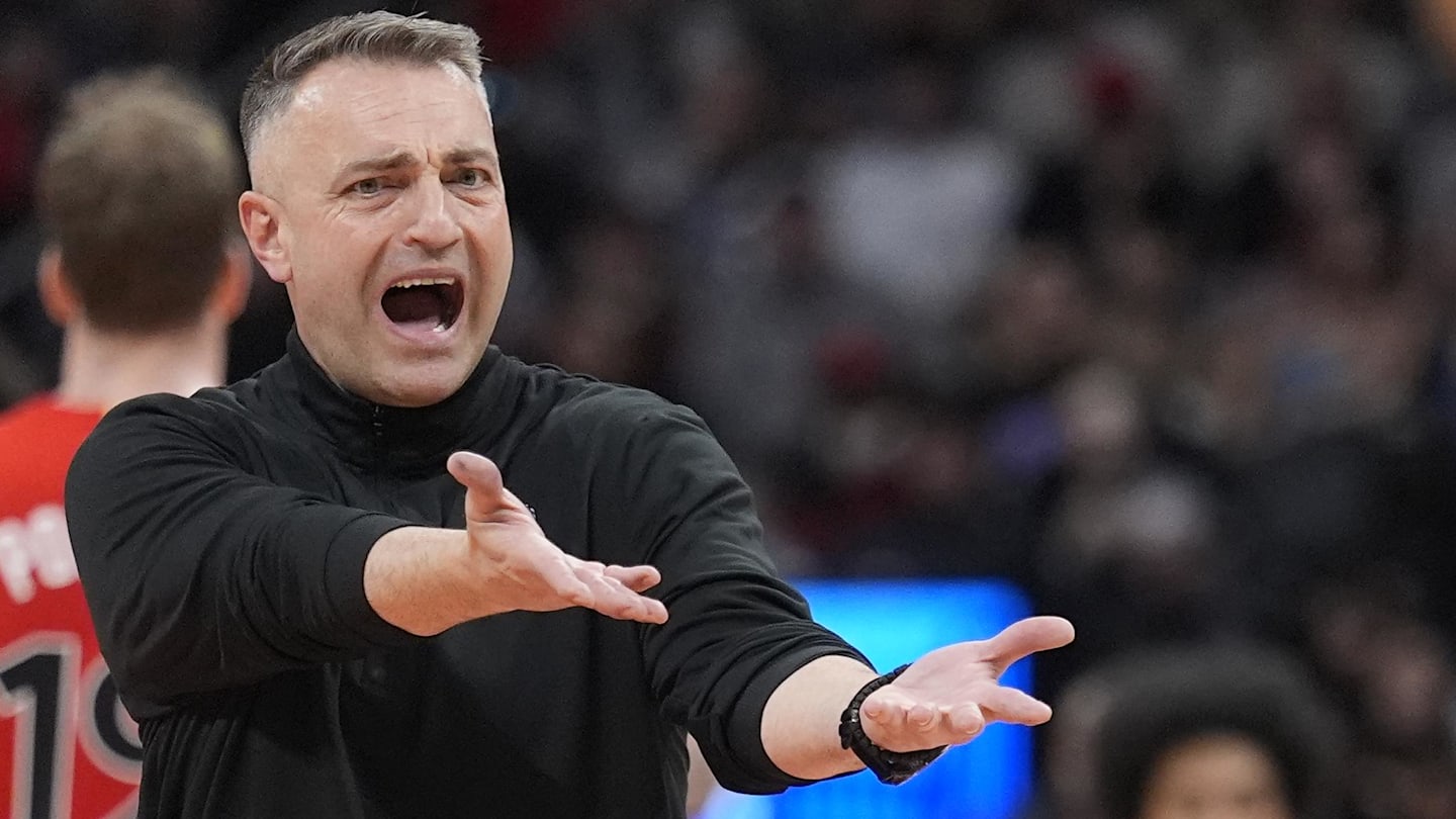 Darko Rajakovic, Toronto Raptors