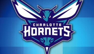 As the Hornets fight for a playoff spot, the Greensboro Swarm are a win away from a Championship :: WRALSportsFan.com